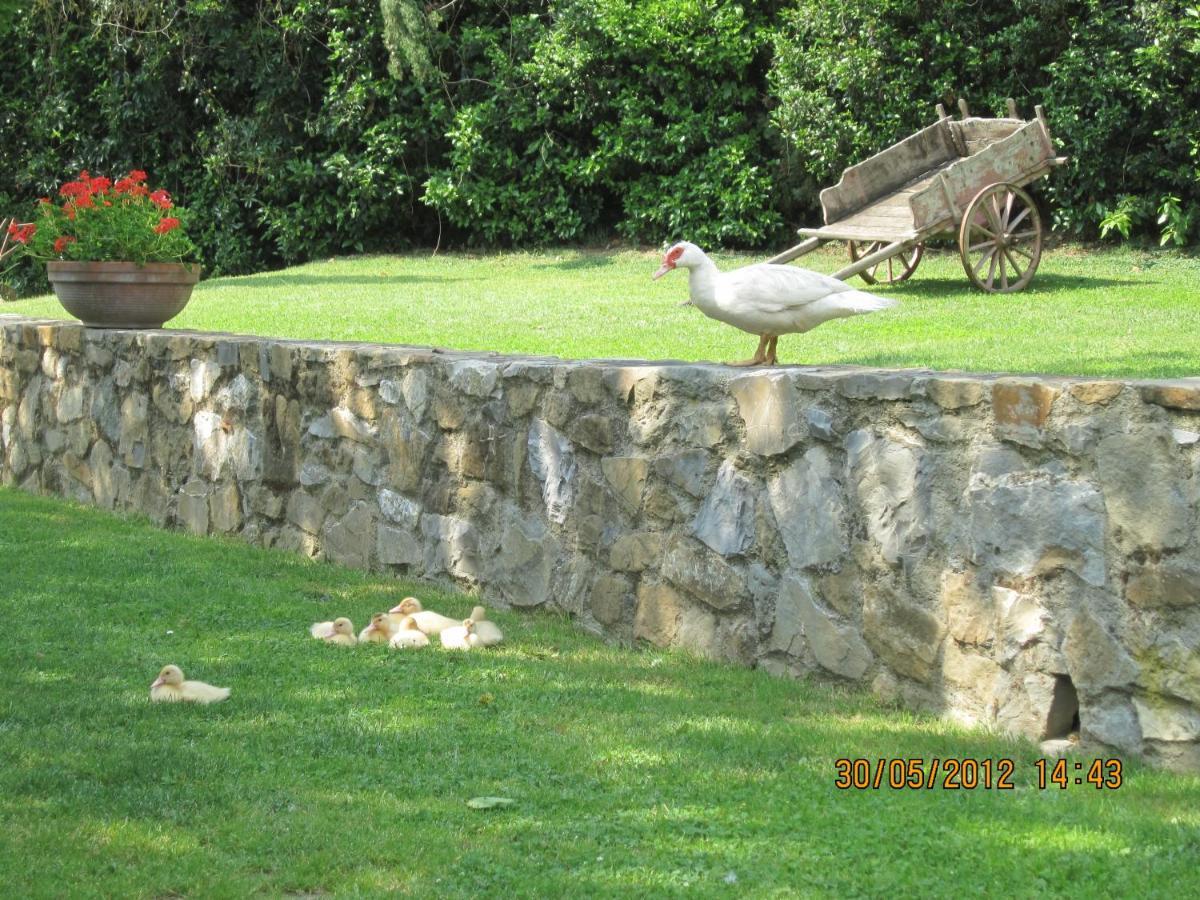 Agriturismo Conca Verde Scandicci Exteriör bild